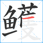 鳠笔顺分解图片16