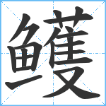 鳠笔顺分解图片22