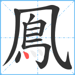 鳯笔顺分解图片11