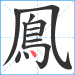 鳯笔顺分解图片12