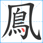 鳯笔顺分解图片13