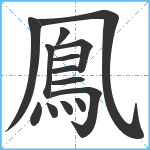 鳯笔顺分解图片14