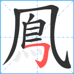 鳯笔顺分解图片9