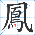 鳳笔顺分解图片13