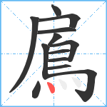 鳸笔顺分解图片13