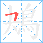 鴂笔顺分解图片1