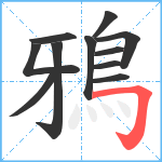 鴉笔顺分解图片11