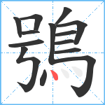 鴞笔顺分解图片14