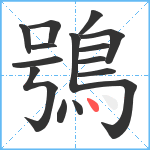 鴞笔顺分解图片15