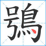 鴞笔顺分解图片16