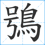 鴞笔顺分解图片17