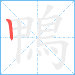 鴨笔顺分解图片1