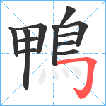 鴨笔顺分解图片12