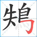 鴩笔顺分解图片12