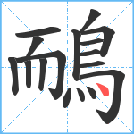 鴯笔顺分解图片17