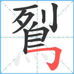 鴷笔顺分解图片13