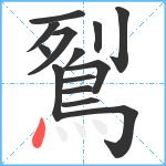 鴷笔顺分解图片14