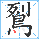 鴷笔顺分解图片15