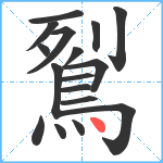 鴷笔顺分解图片17