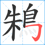 鴸笔顺分解图片13