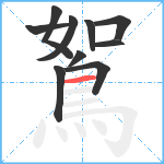 鴽笔顺分解图片10