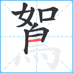 鴽笔顺分解图片11