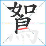 鴽笔顺分解图片12