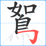 鴽笔顺分解图片13