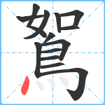 鴽笔顺分解图片14