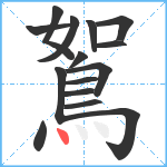 鴽笔顺分解图片15