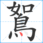 鴽笔顺分解图片16