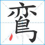 鵉笔顺分解图片14