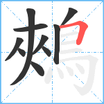 鵊笔顺分解图片10