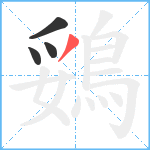 鵎笔顺分解图片4