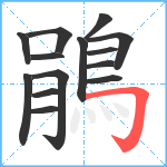 鵑笔顺分解图片14