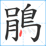 鵑笔顺分解图片15