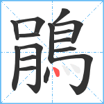 鵑笔顺分解图片16