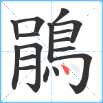 鵑笔顺分解图片17