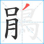 鵑笔顺分解图片8