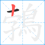 鵓笔顺分解图片2