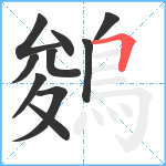 鵕笔顺分解图片10