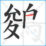 鵕笔顺分解图片11