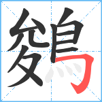 鵕笔顺分解图片14