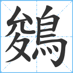 鵕笔顺分解图片19