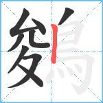 鵕笔顺分解图片9