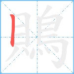 鵙笔顺分解图片1