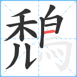 鵚笔顺分解图片12