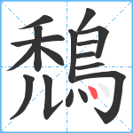 鵚笔顺分解图片17