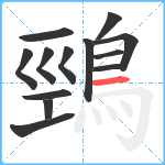 鵛笔顺分解图片13