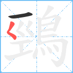 鵛笔顺分解图片2